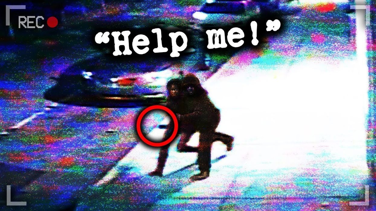 Kidnapped On Camera | Carlesha Freeland-Gaither's Case